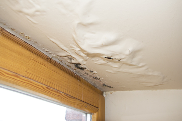 Signs of Mold and Water Damage