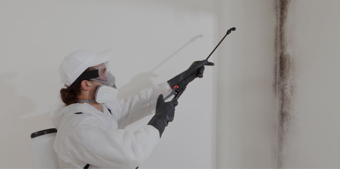 Professional technician wearing protective gear treating mold on interior wall during home mold remediation